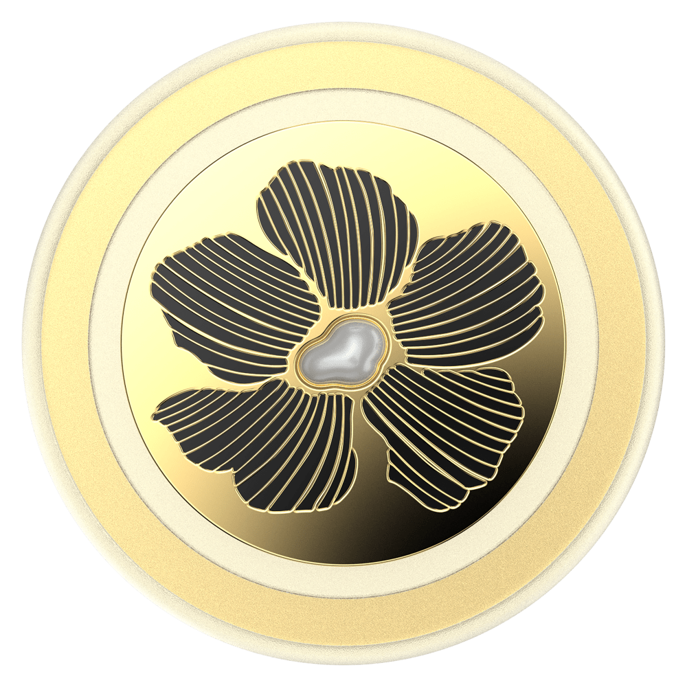 PopSockets MagSafe PopGrip