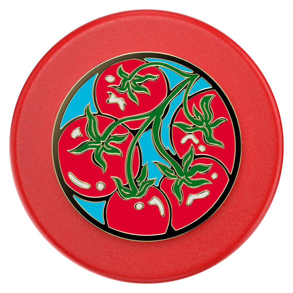 PopSockets MagSafe PopGrip by PopSockets