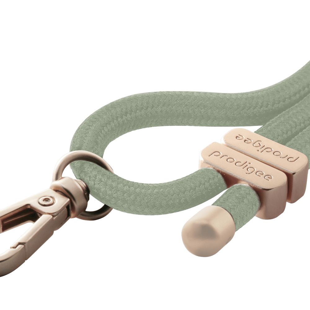 prodigee Valley MagSafe Case for Apple iPhone 16 Pro Max by prodigee