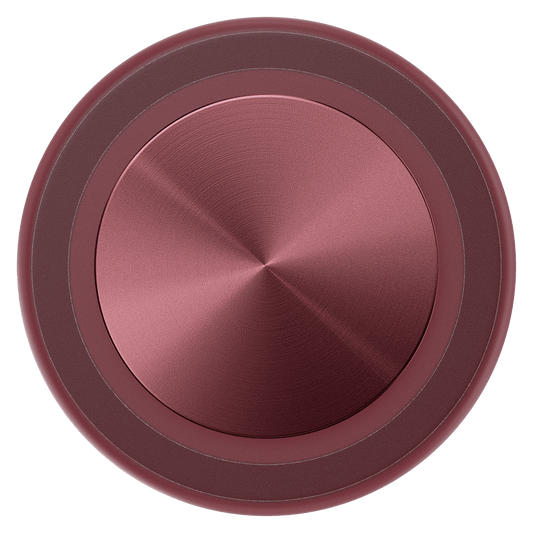 PopSockets MagSafe PopGrip by PopSockets